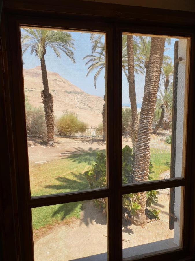 הצימר של יהושע كيبوتس عين غيدي المظهر الخارجي الصورة