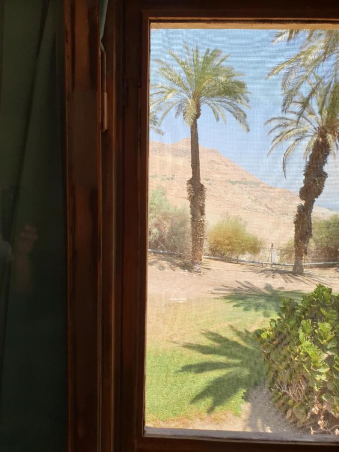 הצימר של יהושע كيبوتس عين غيدي المظهر الخارجي الصورة
